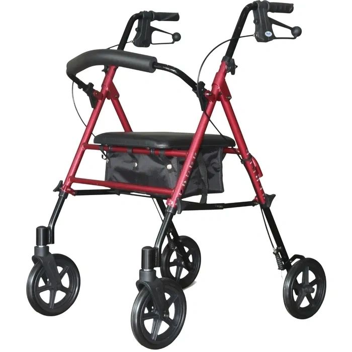 Days 102 Seat Walker