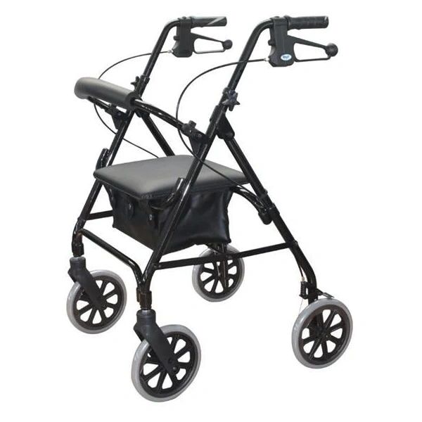 Days 105 Seat Walker