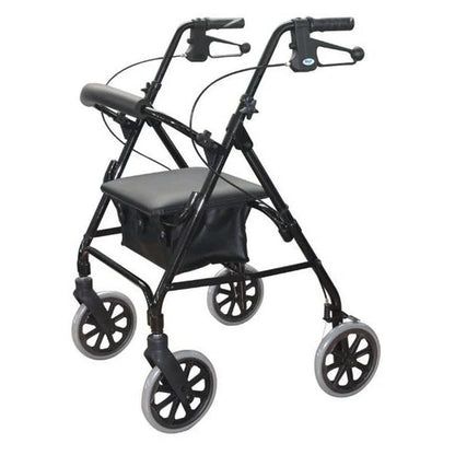 Days 105 Seat Walker