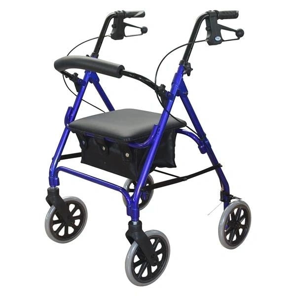 Days 105 Seat Walker