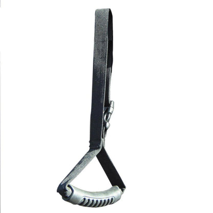 Car Caddie Assist Handle