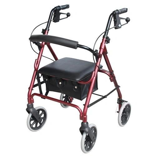 Days 105 Seat Walker
